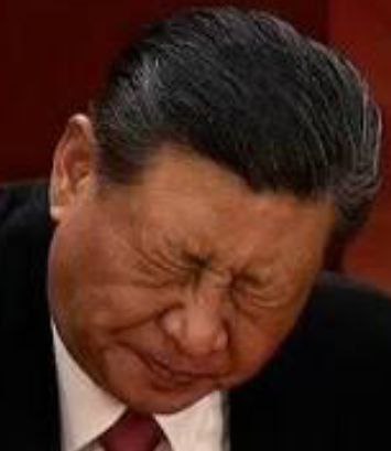 现代最强大专生VS史上最强小学生会赢吗？张又侠