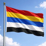 论社会主义社会主义本