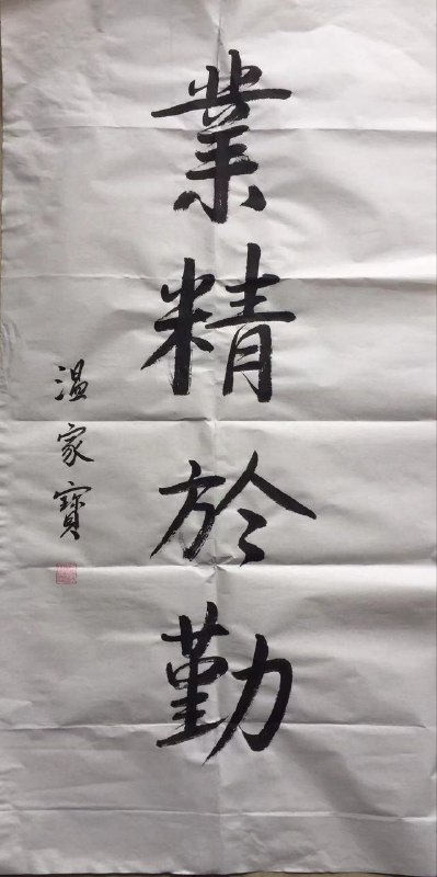 大家如何评价温家宝�