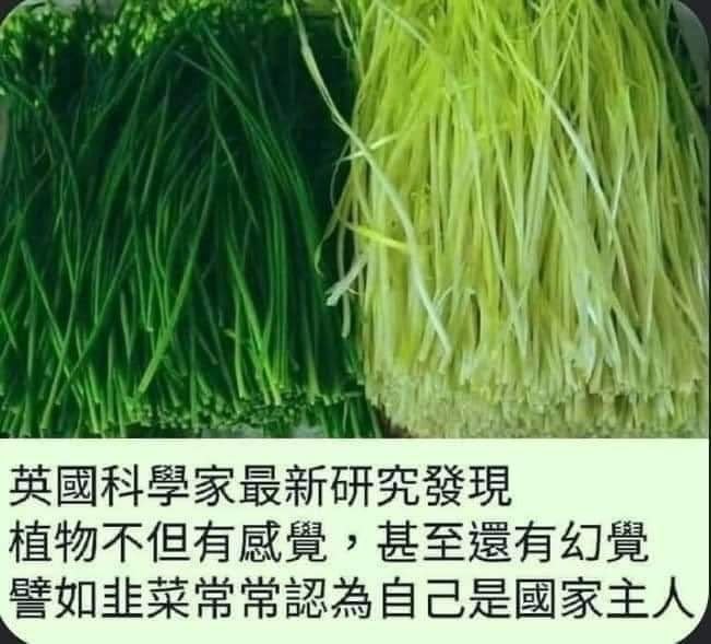 😎 匿名投稿