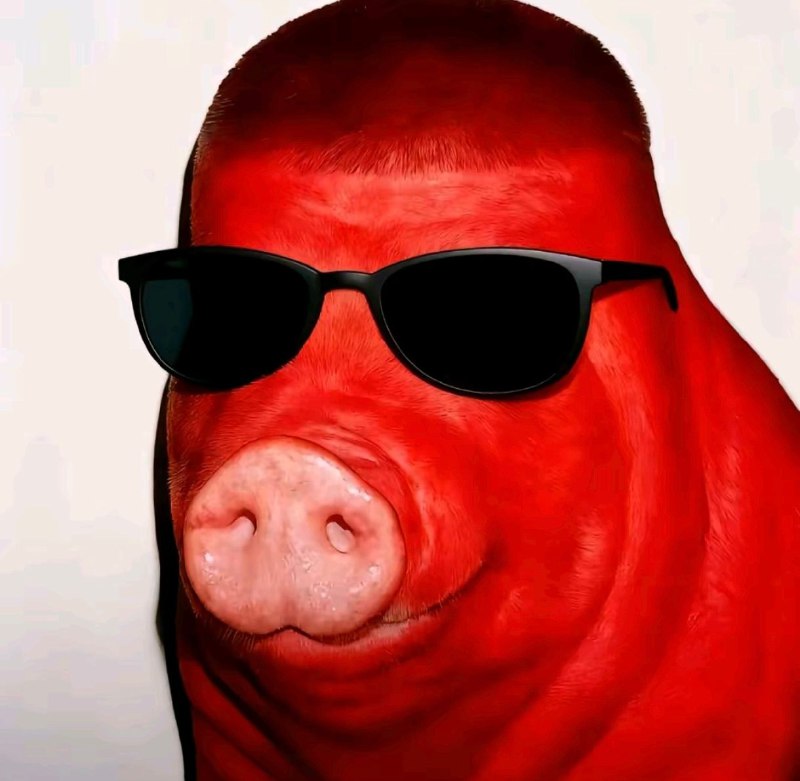 我是谁？😎 匿名投