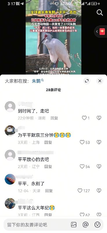 原产陕西的白羽红顶子